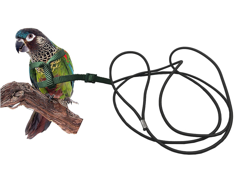 Bird Leash - Bird Harness for Conures- Adjustable Parrot Leash, Bird Nylon Rope, Anti Bite, Suitable for All Kinds of Small Parakeets Cockatiels, Conures, Macaws, Parrots, Love Birds, Finches - PawsPlanet Australia