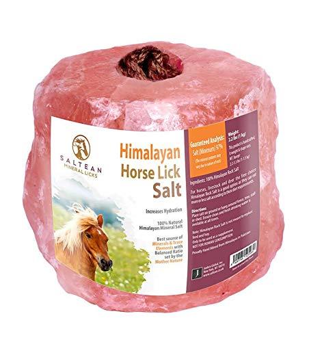 SALTEAN Horses Lick Natural Pink Salt, Natural shape salt with strong hanging Rope | Suitable for all Animals | 1kg Salt Range Pakistan - PawsPlanet Australia