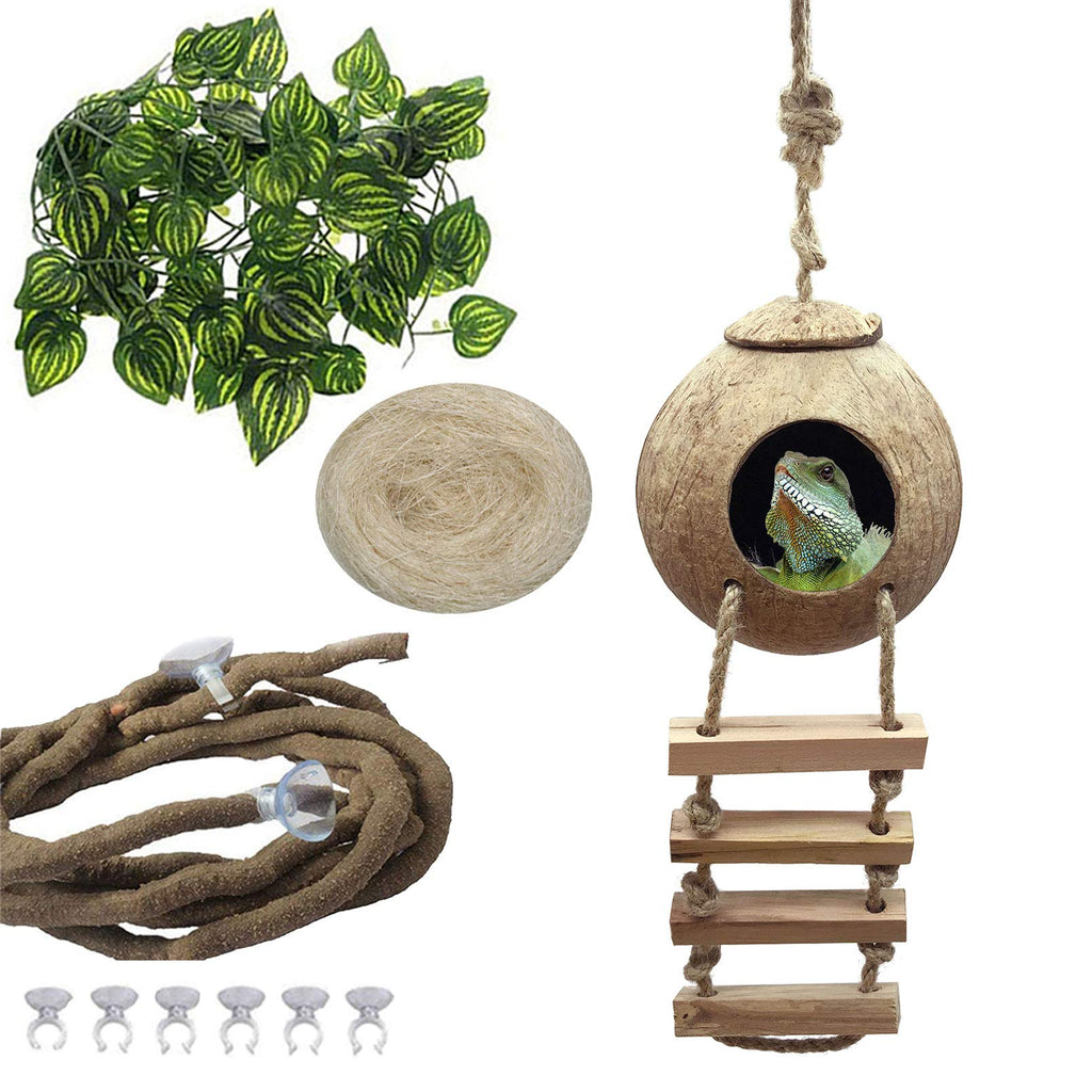PINVNBY Crested Gecko Coco Hut with Ladder Natural Lizard Coconut Shell Hideout Home Mini Condo for Reptiles Durable Cave Habitat with Hanging Loop Coconut Texture Provide Food for Pets - PawsPlanet Australia