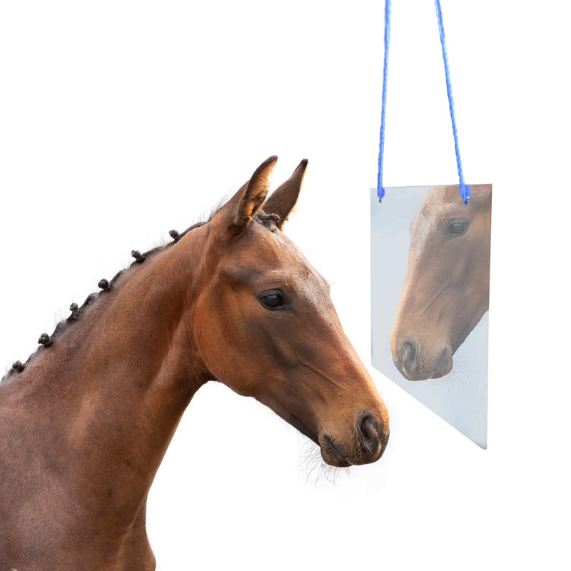 Horse Mirror Toy Hanging Pony Calming Mirror for Stable Barn Stall Toy Entertainment - PawsPlanet Australia