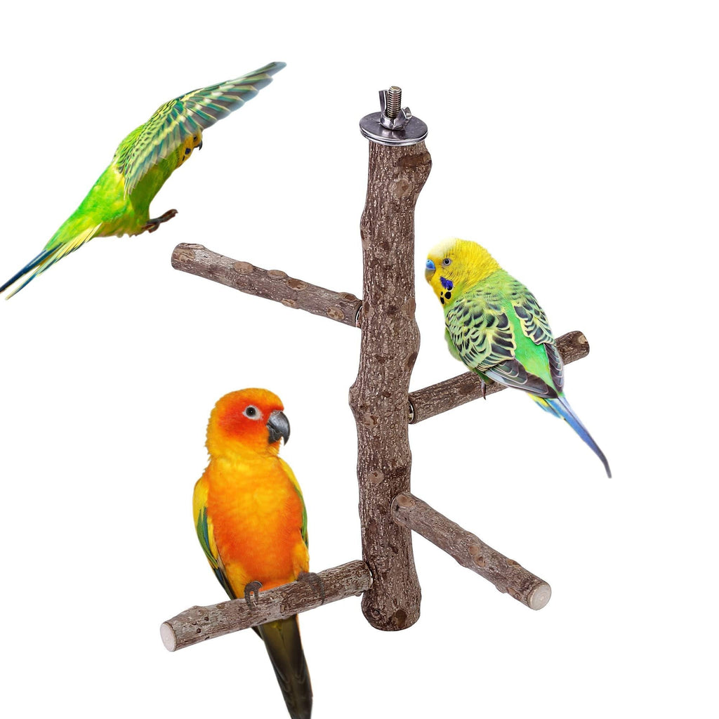 Mogoko Natural Wood Bird Perch Stand, Hanging Multi Branch Perch for Parrots, Parakeets Cockatiels, Conures, Macaws, Love Birds, Finches Style 1 - PawsPlanet Australia