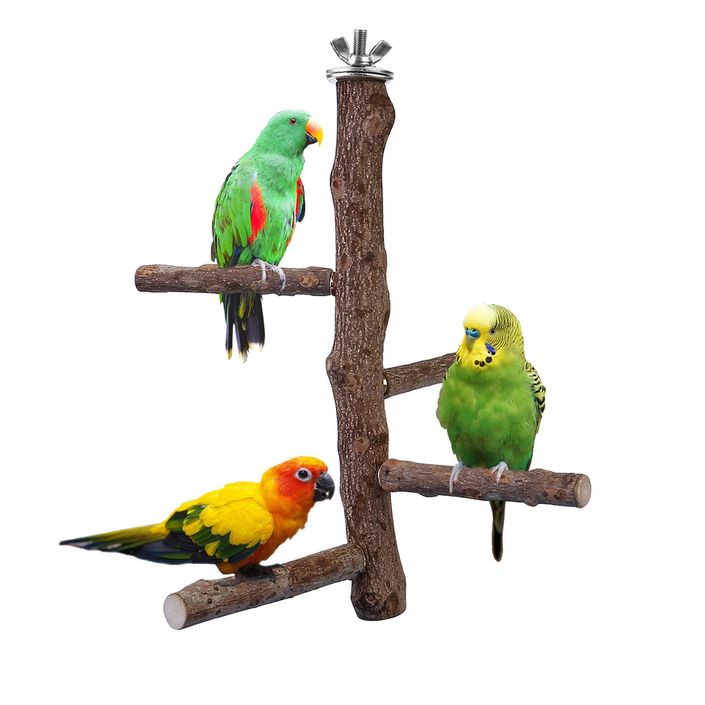 Filhome Bird Perch Stand Toy, Natural Wood Parrot Perch Bird Cage Branch Perch Accessories for Parakeets Cockatiels Conures Macaws Finches Love Birds M: 10" Length - PawsPlanet Australia