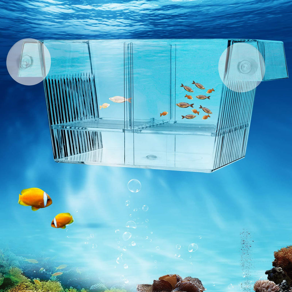 AquaMiracle Fish Hatchery Fish Breeder Incubator Isolation Box for Baby Fish, Sick Fish, Guppy, Shrimp, and Clownfish - PawsPlanet Australia
