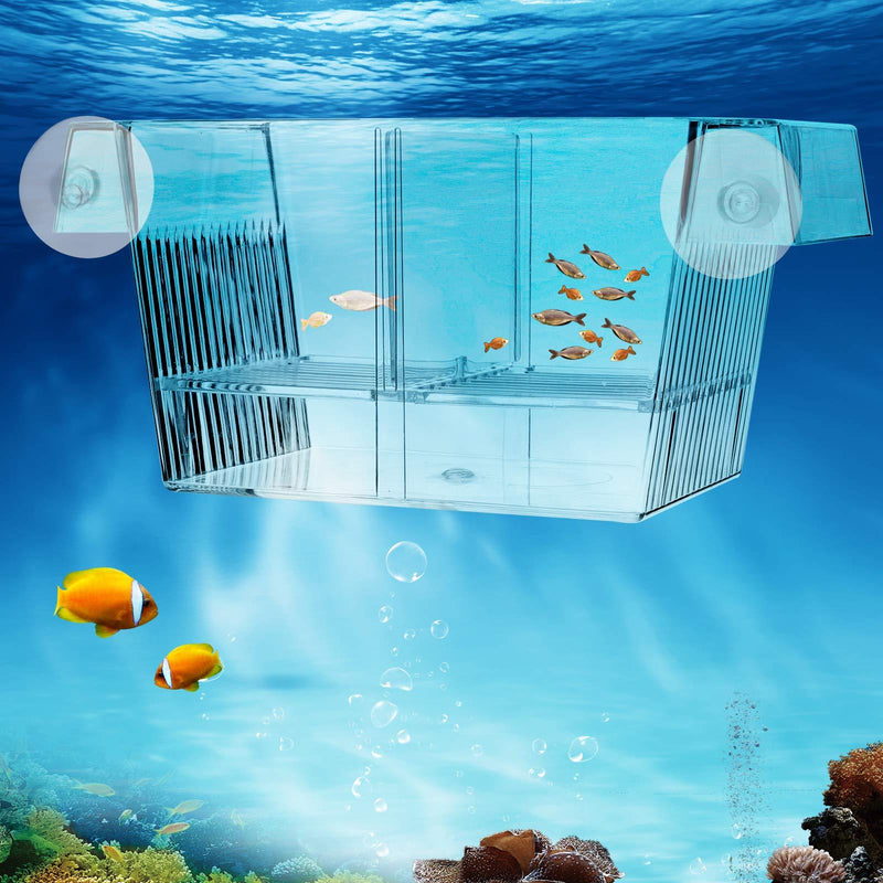 AquaMiracle Fish Hatchery Fish Breeder Incubator Isolation Box for Baby Fish, Sick Fish, Guppy, Shrimp, and Clownfish - PawsPlanet Australia