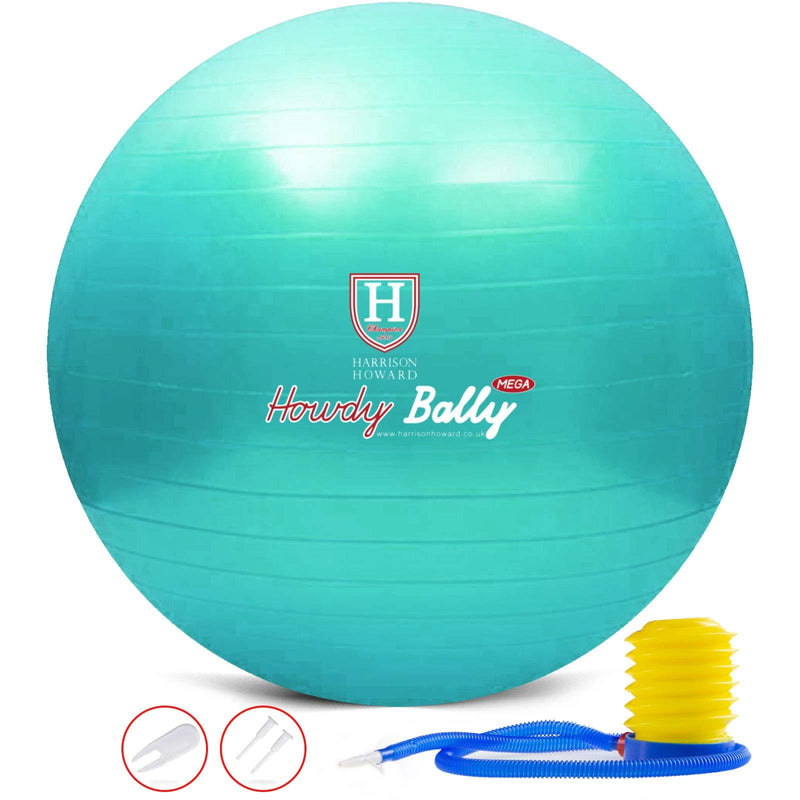Harrison Howard Mega Horse Play Ball Anti-Burst Giant Horse Ball Horse Soccer Ball 25 Inch-Turquoise - PawsPlanet Australia