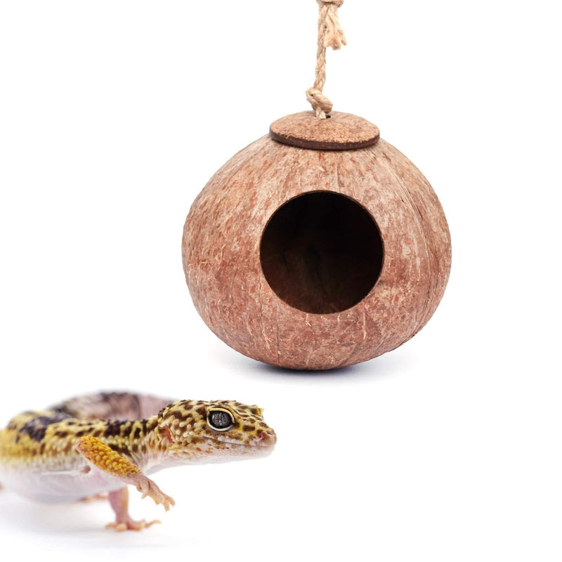 Gecko Coconut Husk Hut, Bird Hut Nesting House Hideouts Hanging Home, Treat & Food Dispenser, Durable Cave Habitat with Hanging Loop for Crested Gecko, Reptiles, Amphibians and Small Animals - PawsPlanet Australia