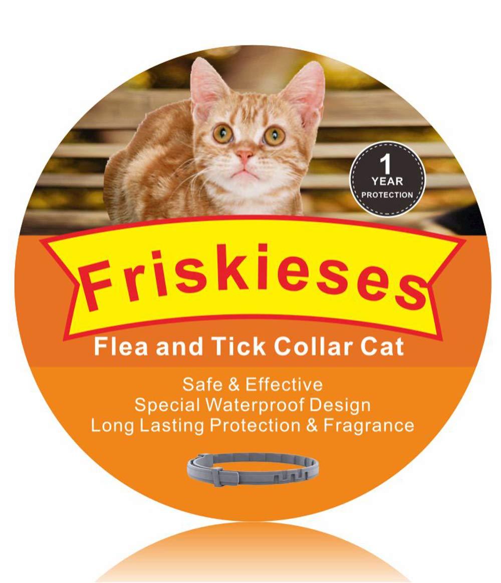 Friskieses Fl ea Collar for Cats,Fl ea and Ti ck Collar for Cats,Ti ck Collar for Cats,Cat Fl ea Collar,1 Year Protection - PawsPlanet Australia