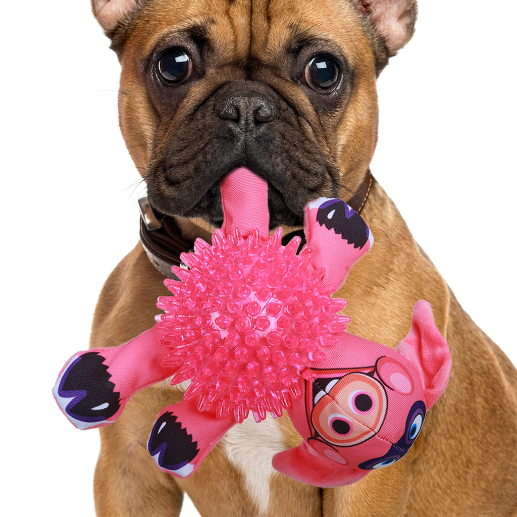 KINJUWEE 2 in 1 Durable Squeaky Chew Toys for Aggressive Chewers Canvas Spiky Ball,Dog Teeth Cleaning Ball for Small Medium Large Dogs,Red Lovely Pig Pink pig - PawsPlanet Australia