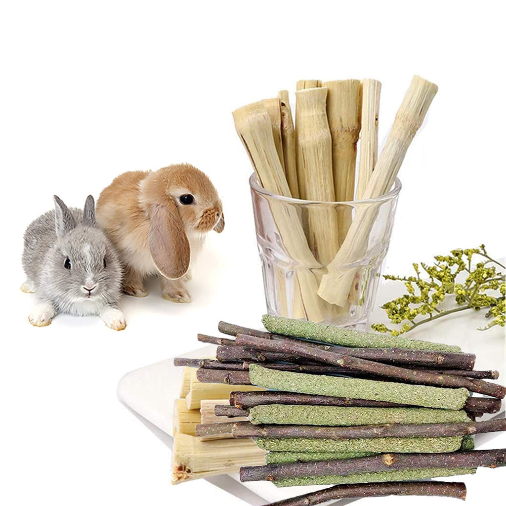 XIAO MO GU Bunny Chew Toys, 3 Types Rabbit Hamster Toys with Apple Wood Sticks Teeth Grinding Toy for Rabbits Bunny Hamster Parrot Chinchillas Guinea Pig Gerbils Chewing - PawsPlanet Australia