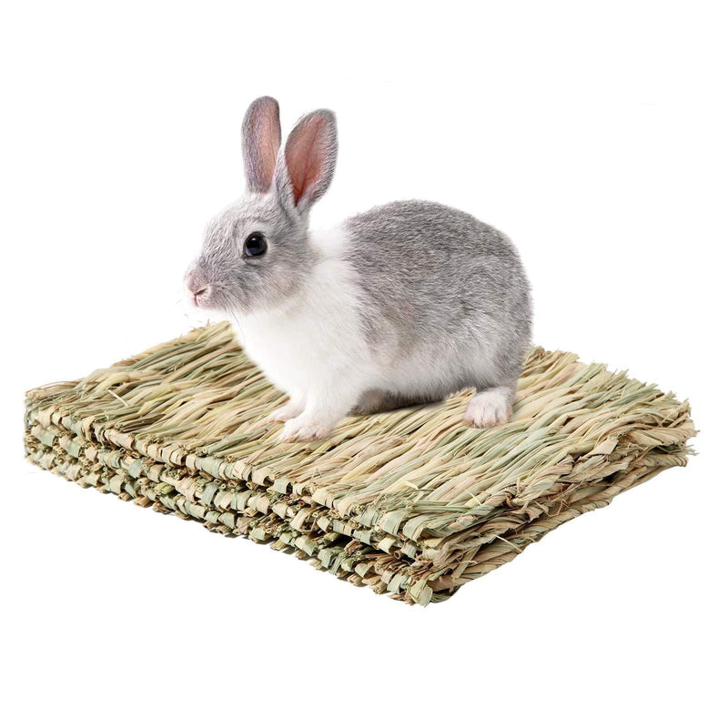 Anyuxin Rabbit Grass Mat - Woven Bed Mat, Bunny Bedding for Small Animals, Natural Straw Woven Bed for Pet Nesting, Nature Hay Mat Chewing Play Toy for Guinea Pig, Hamster, Squirrel and More（3 Pack） - PawsPlanet Australia