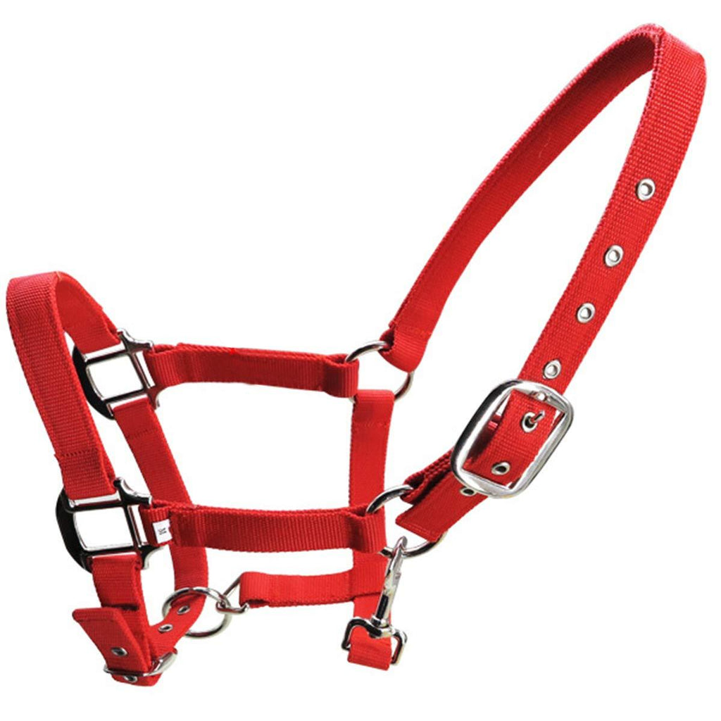 Queen.Y Horse Halter Durable Thickened Adjustable Horse Head Collar Horse Riding Racing Equipment - PawsPlanet Australia