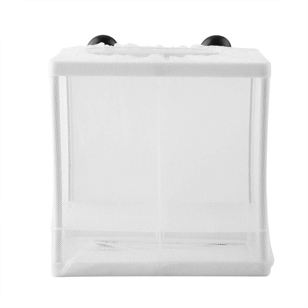 Evonecy Fish Breeder Aquarium Fish Tank Fish Breeding Box, Fish Breeding Net Fish Breeding Incubator Isolation Mesh Box, Baby Fishes for Fish Tank - PawsPlanet Australia