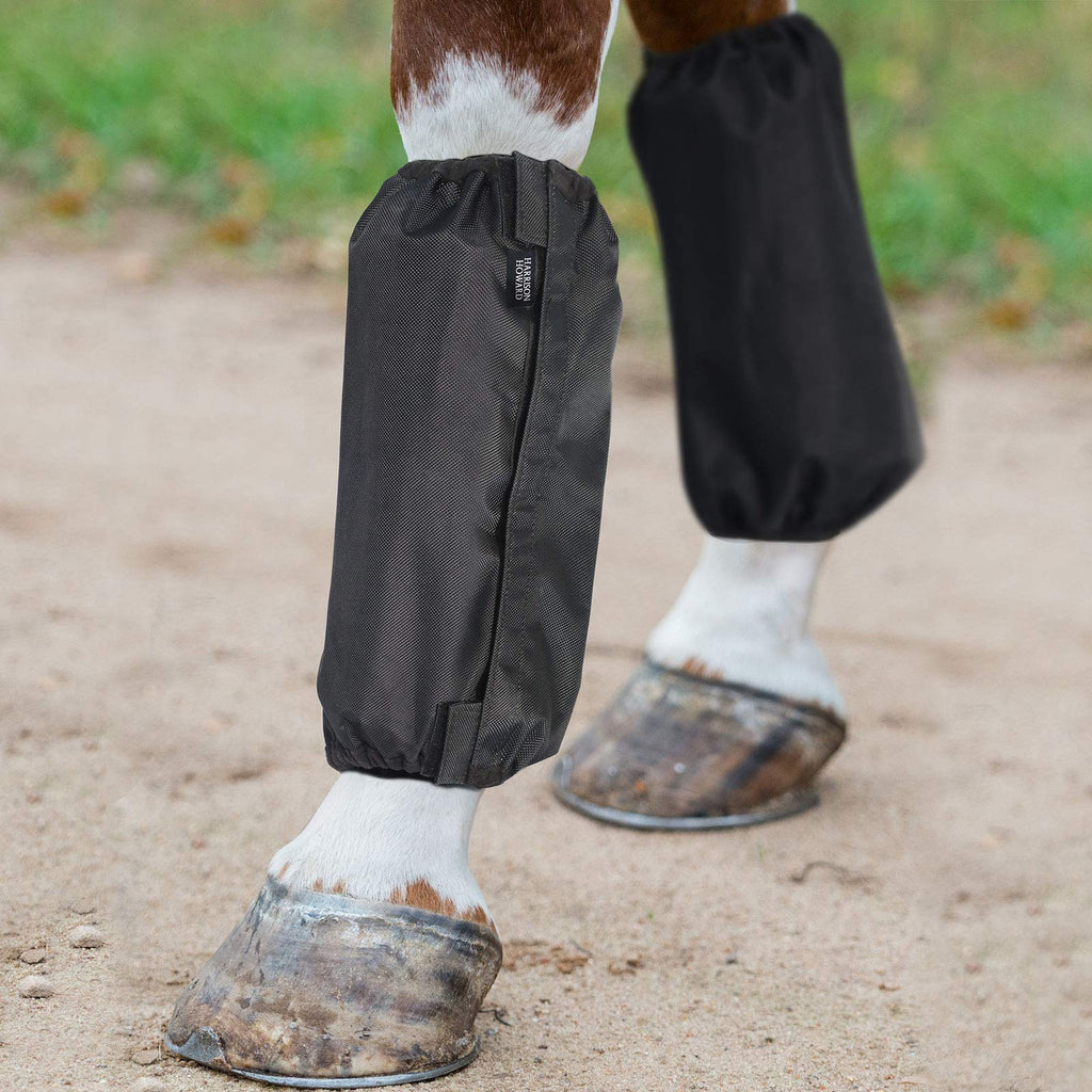 Harrison Howard Horse Waterproof Leg Medicine Boot Cover Black - PawsPlanet Australia