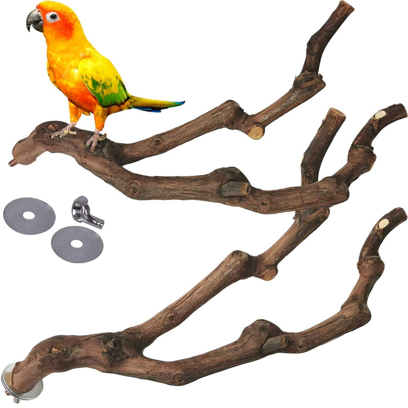 kathson Natural Parrot Perch Bird Stand Pole Wild Grape Stick Paw Grinding Fork Parakeet Climbing Standing Branches Toy Chewable Cage Accessories for Small Budgies Cockatiels Lovebirds 2PCS - PawsPlanet Australia