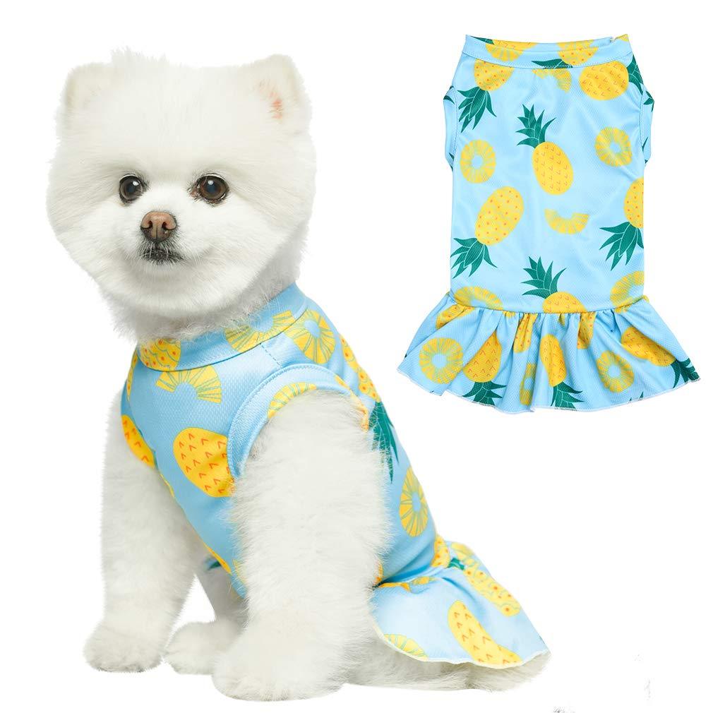 EXPAWLORER Dog Dress for Small Dogs - Soft Breathable Dog Spring Clothes, Cooling Dog Shirt Skirt for Summer, Sleeveless Girl Dog Apparel, Dog Outfits for Puppy Medium Dogs Blue - PawsPlanet Australia