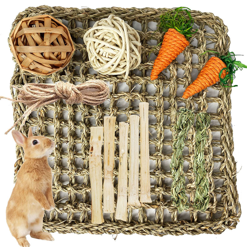 kathson Rabbit Activity Zone Seagrass Protector Mat Bunny Chew Toy for Teeth Grinding Small Animal Activity Play Ball Carrot Sweet Bamboo Toys for Chinchilla Guinea Pigs Gerbils Other Rodent Pets - PawsPlanet Australia