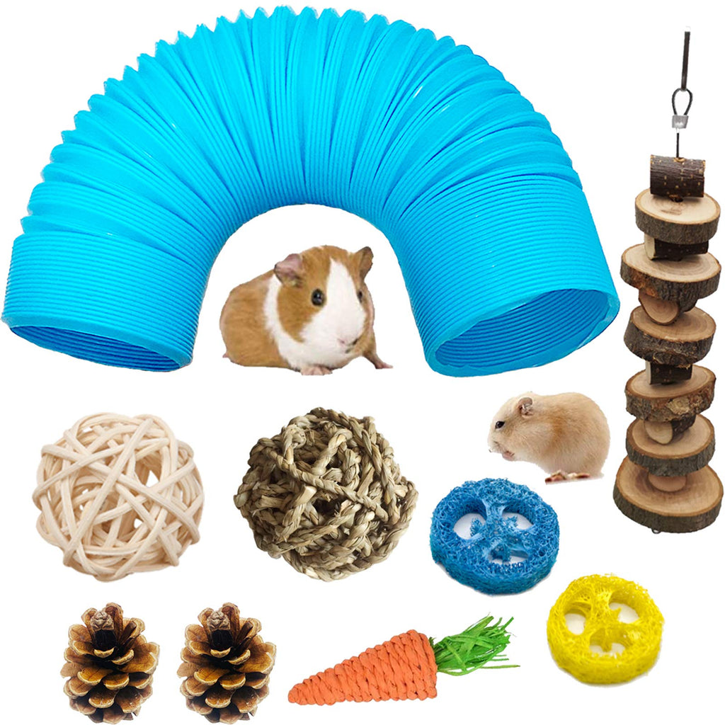 Hamster Fun Tunnel Pet Mouse Plastic Tube Toys Small Animal Foldable Exercising Training Hideout Tunnels with Cute pet Toys for Guinea Pigs,Gerbils,Rats,Mice,Ferrets and Other Small Animals BLUE - PawsPlanet Australia