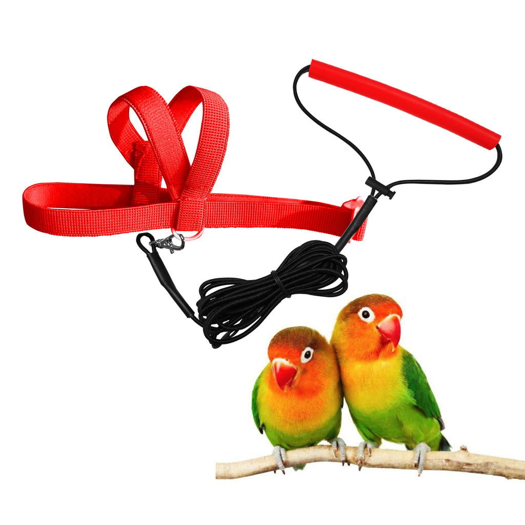 VANFAVORI Adjustable Bird Harness 2M Long Leash Kit, XS Size for Peony Parrot Love Bird, Weight 45-70 Grams with Outdoor Flying Training Leash(Red) Red - PawsPlanet Australia