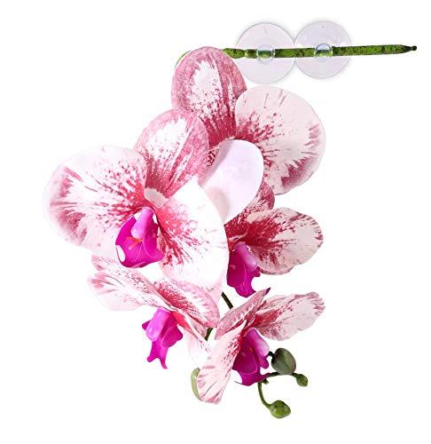 Pangea Reptile Hanging Orchid for Reptile Terrarium Decor White - PawsPlanet Australia
