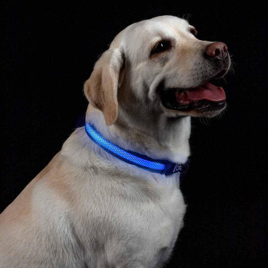MATCHY2U LED Dog Collar - USB Rechargeable Reflective Light Up Collars for Small Medium Large Dogs Blue S(15.7"-17.7") - PawsPlanet Australia