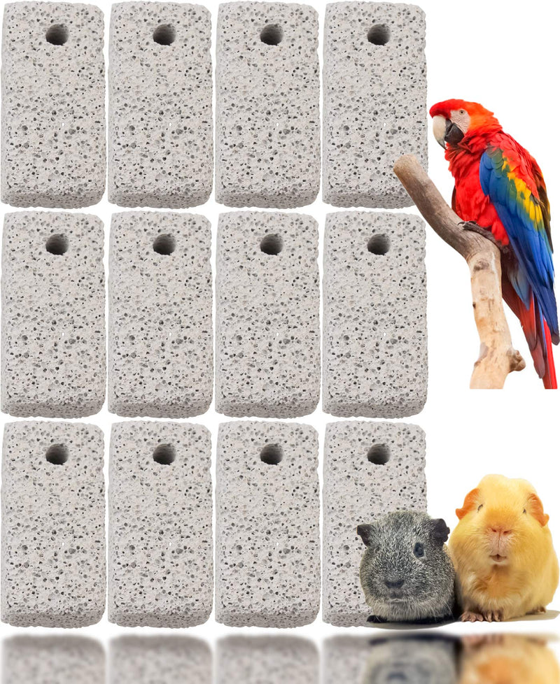 LeonBach 12 Pcs Rectangle Lumpy Volcanic Rock Molar Stone with Holes for Various Small Pets Such as Hamster Rabbit Guinea Pig Chinchilla - PawsPlanet Australia