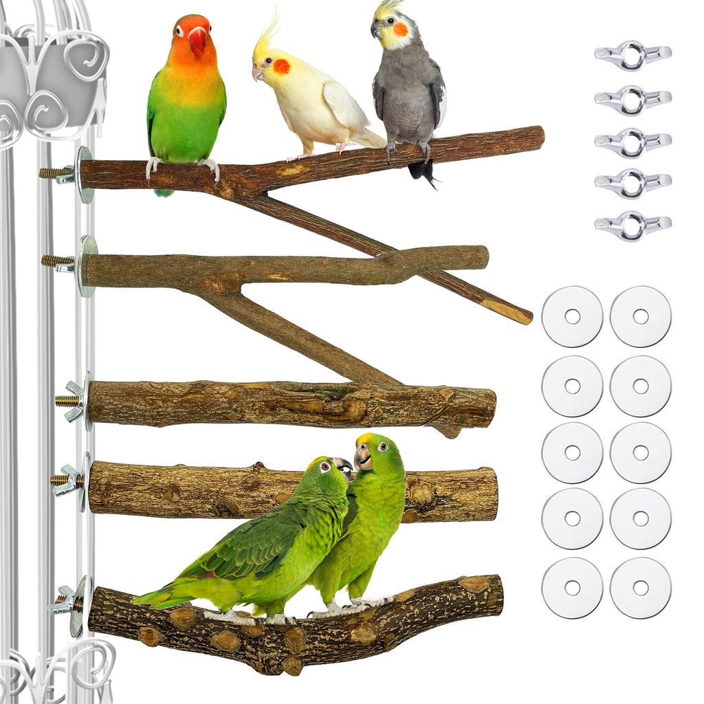 Lopbraa 9.84inch Bird Perch Stand Parrot Perches Natural Wood Cage Perch Platform Stand for Small Birds Parrots Parakeets Cockatiels Conures Cages Accessories 5 PCS - PawsPlanet Australia