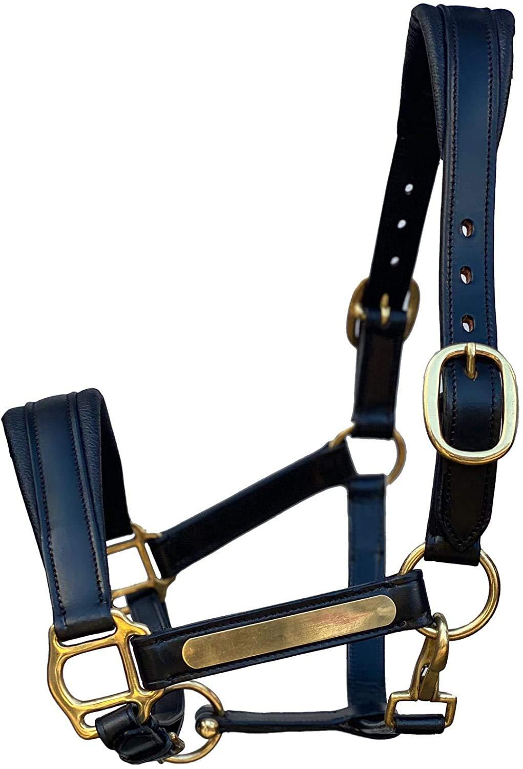 Equipride ARGENTINAN COW LEATHER HEADCOLLAR WITH NAME PLATE FULLY ADJUSTABLE BLACK (Extra Full) - PawsPlanet Australia