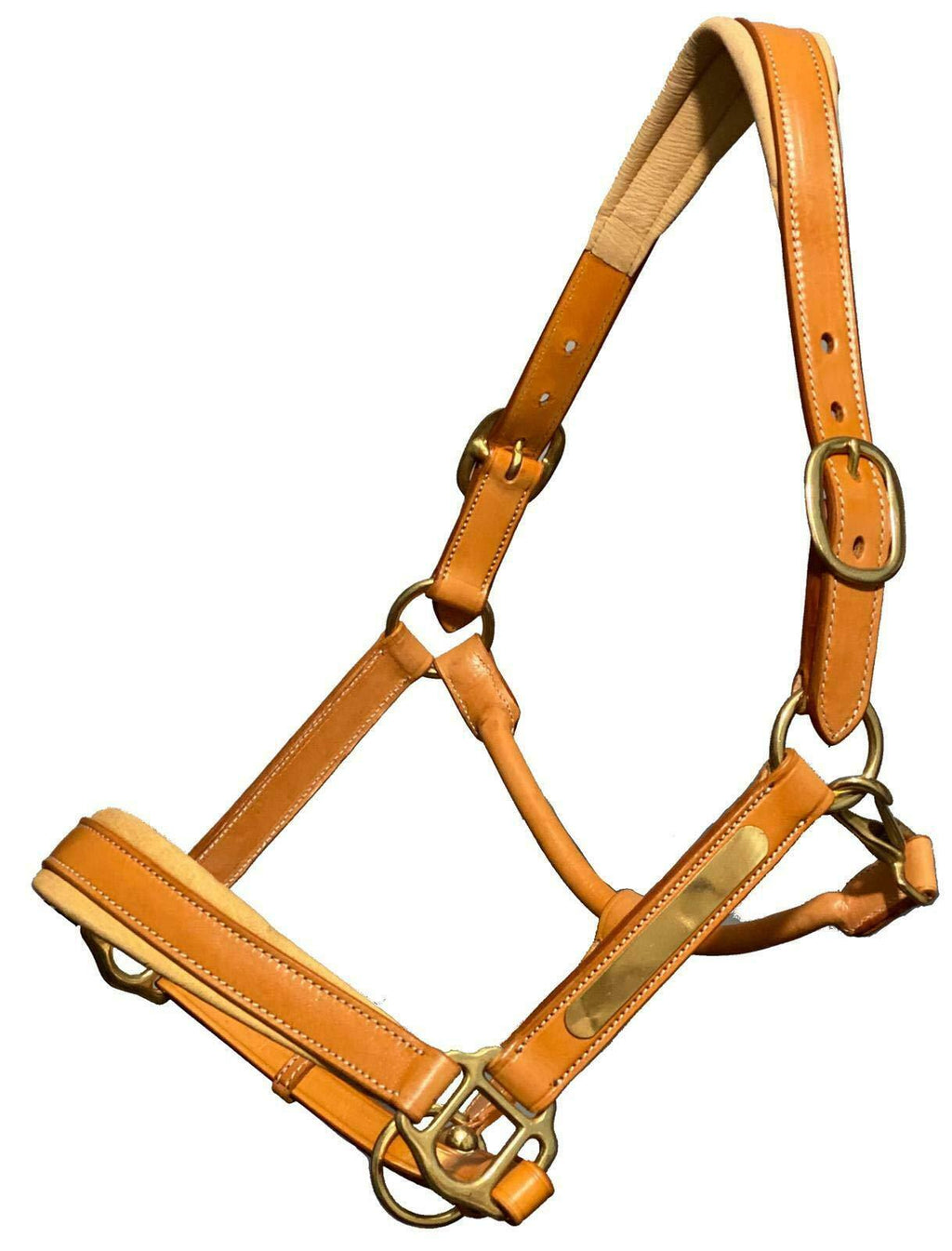 Equipride ARGENTINAN COW LEATHER HEADCOLLAR WITH NAME PLATE FULLY ADJUSTABLE TAN (Full) Full - PawsPlanet Australia