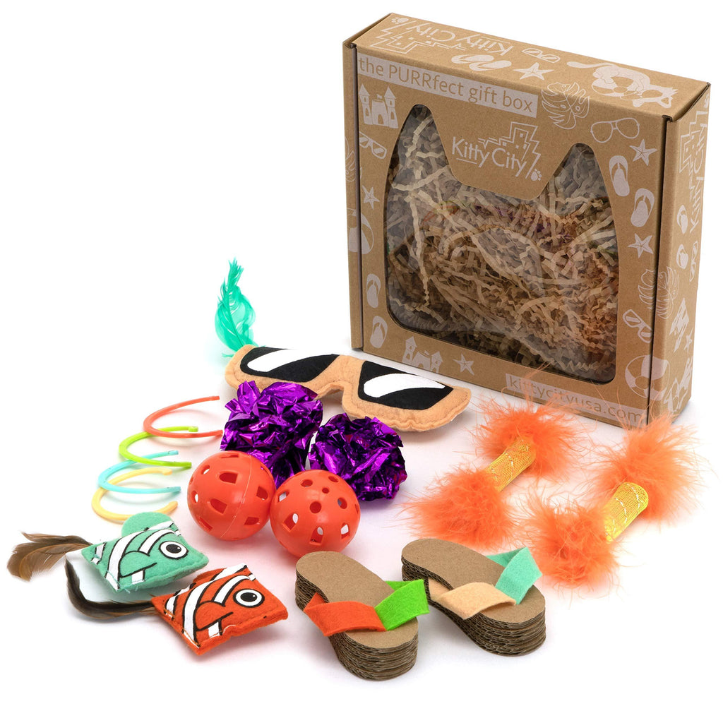 Kitty City Swat Track Cat Toy, 3 Toys in 1 Cat Toy, Deluxe and Basic Cat Toy Box - PawsPlanet Australia