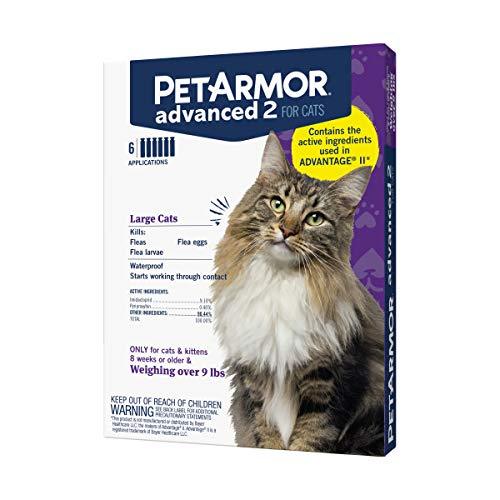 PetArmor Advanced 2 Flea Prevention for Large Cats, 6 Month Supply - PawsPlanet Australia