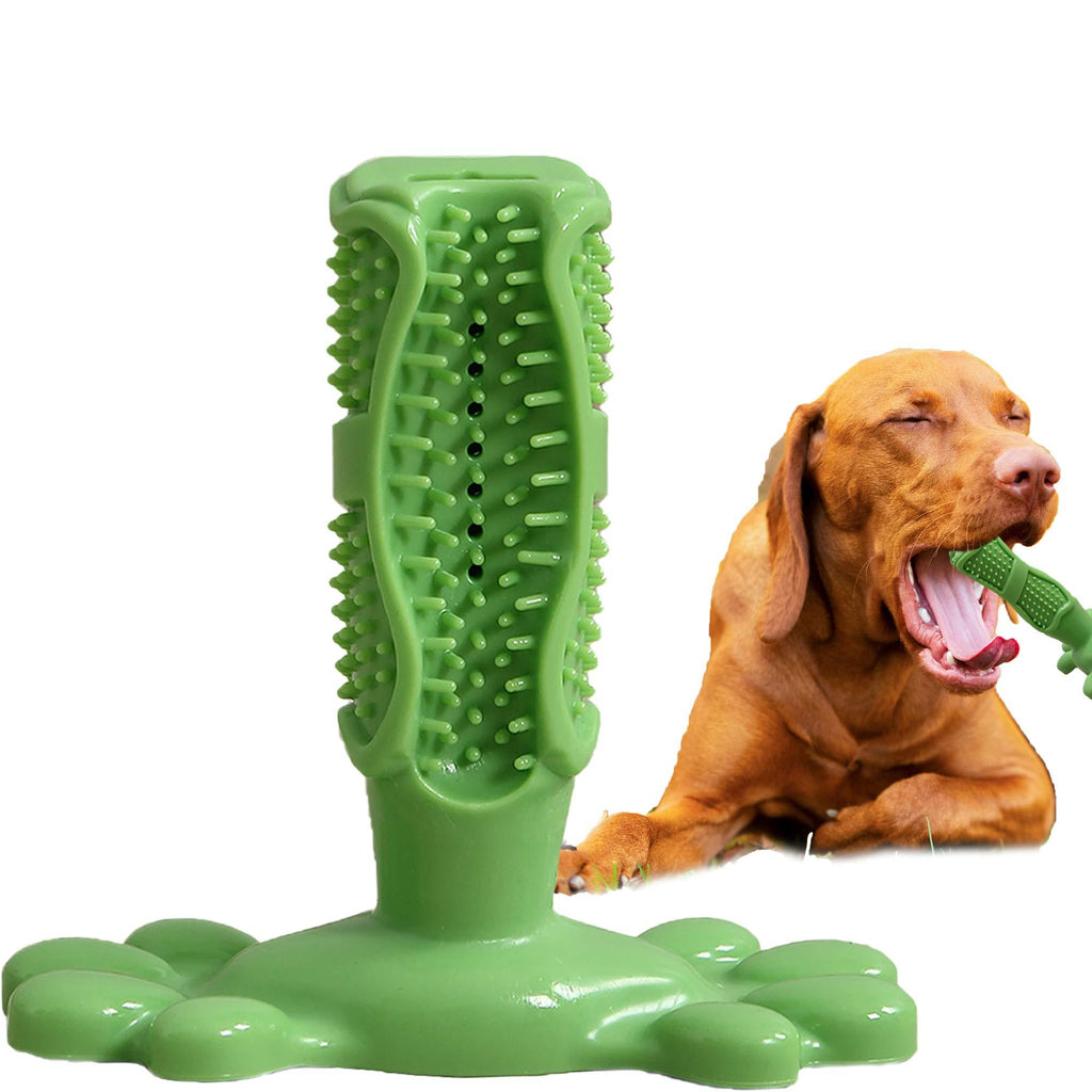 Dog Toothbrush Chew Toy, Puppy Dental Care Teeth Cleaning Stick Toy for All Breed of Dogs - Dog Toothbrush Stick, Dog Teeth Cleaning Chewing Playing Toy, Durable Rubber Dog Teeth Cleaning Green - PawsPlanet Australia