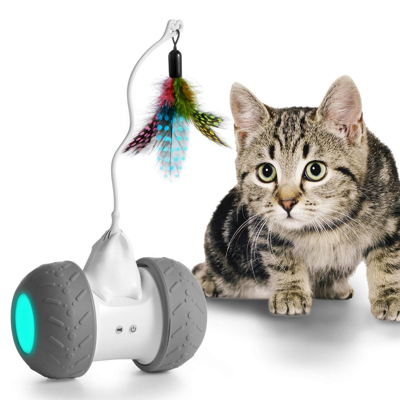 Robotic Cat Toy Interactive, Automate Kitten Toy Ball USB Rechargeable 2000mAh Large Capacity Battery Working 7-14 Days, Auto 360 Degree Rotating Attached with Feathers, All Floors & Carpet Available - PawsPlanet Australia