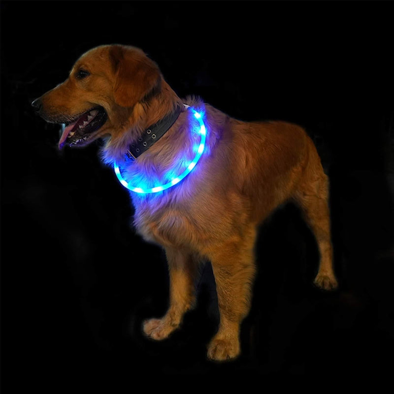 SUNET LED Dog Collars USB Rechargeable Adjustable Silicone 3 Flashing Modes Water Resistant Glowing PET Dog Collar for Night Safety Light UP Dog Collar for Small Medium Large Dogs (Blue) Blue - PawsPlanet Australia