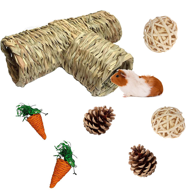 Hamiledyi Hamster Grass Tunnel Toy, Straw House with Open Entrance Guinea Pig Hideout Tube Pets Durable Home with Molar Chew Toys for Rats, Ferrets, Chinchilla, Hedgehog - PawsPlanet Australia
