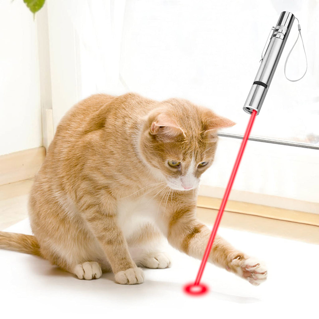 Interactive Cat Toy,LED Chargable Projetcor Chasing Toy for Cat - PawsPlanet Australia