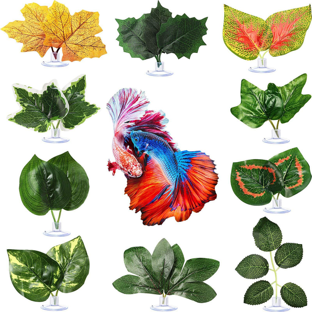 Betta Fish Leaf Pad Hammock Simulating Habitat for Betta Lightweight and Realistic Resting Spot to Improves Betta's Health (10 Pieces) 10 - PawsPlanet Australia