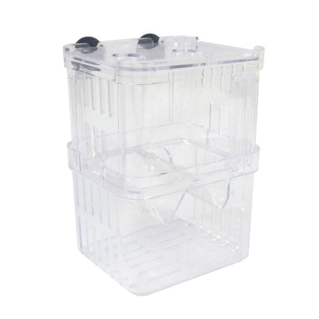 Fish Breeding Box, Aquarium Hatchery Incubator, Double Layer Acrylic Isolation Box Floate Fish Hatchery Aquarium Box Fish Parenting Box Divider for Shrimp Clownfish Medium - PawsPlanet Australia