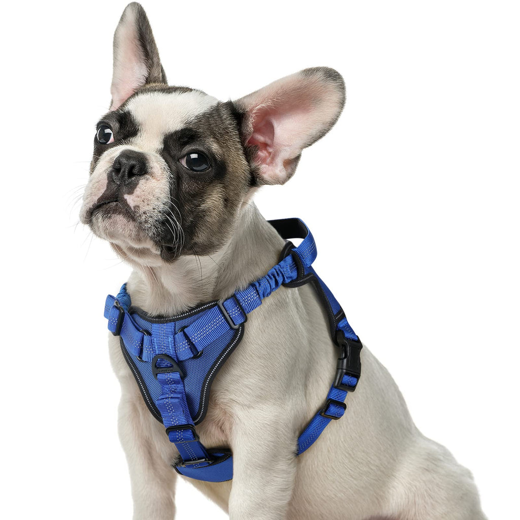 rabbitgoo Dog Harness, No Pull Dog Vest Harnesses with Bungee Shoulder Straps, Reflective Dog Walking Harness with Handle & 2 Metal Clips, Belly Adjustable, Soft Padded for Large Medium Small Dogs Blue - PawsPlanet Australia