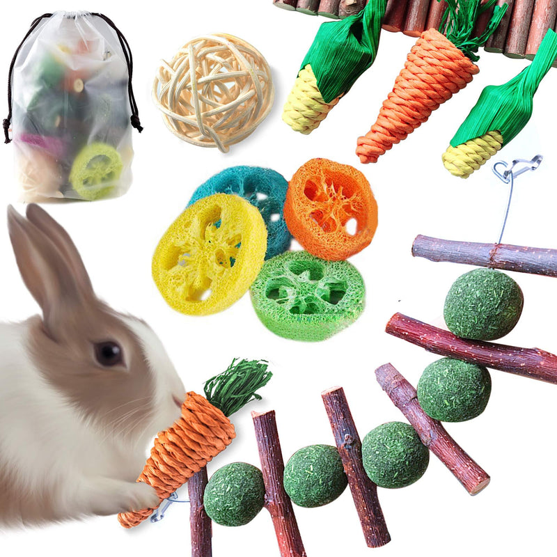 Epessa 9 Pack Rabbit Chew Toys Set with Storage Bag, Natural Bunny Toys for Dental Health, Carrot & Corn Chew Toys, Apple Sticks Grass Balls & Loofah Toys Gifts for Rabbit Bunny Hamster Small Animals - PawsPlanet Australia