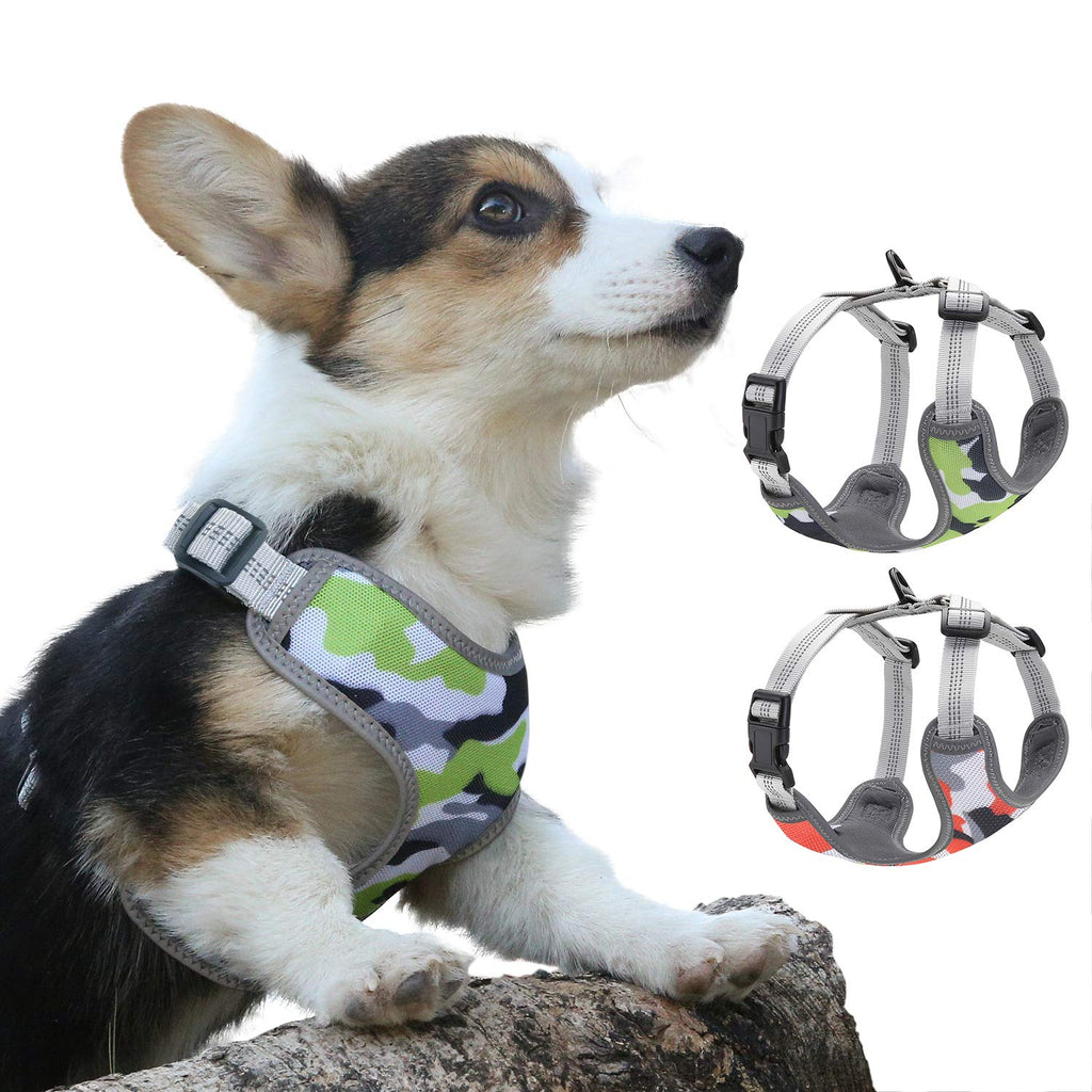 QaBaLee 2pcs Small Dog Harness and Cat Harness, No Pull Dog Harness Anti-Escape Soft Adjustable Vest-Style Safety Belt, Easy Walk The Cute Pet Harness, pet Harness Suitable for Small Dogs and Cat-XS XS(Chest:11"-17") - PawsPlanet Australia