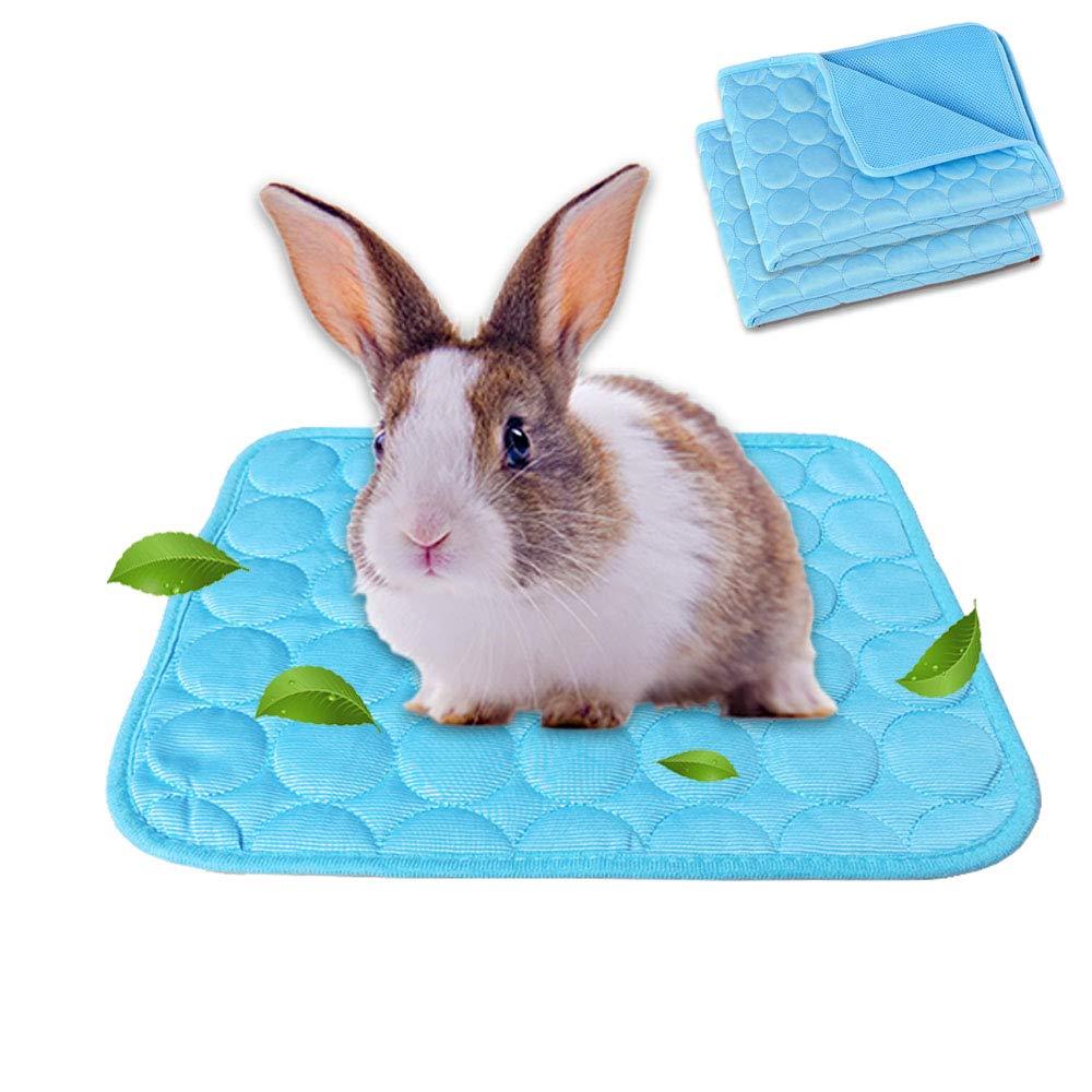 2-Pack Guinea Pig Bed Bunny Bed for Summer, Pet Cooling Mat Pad for Rabbits Guinea Pigs Chinchillas Washable Breathable Ice Silk, S, Blue+Blue S: 9.8"x11.8" - PawsPlanet Australia