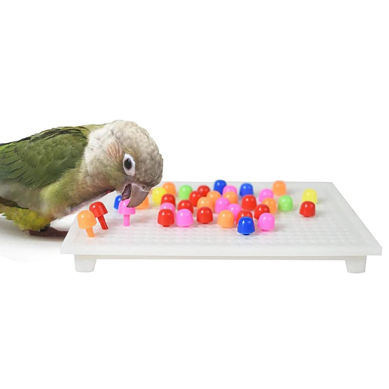Silena Parrot Toy Bird Intelligence Training Toy, Parrot Toy for Parakeet Cockatiel Conure Budgie Small Size - PawsPlanet Australia