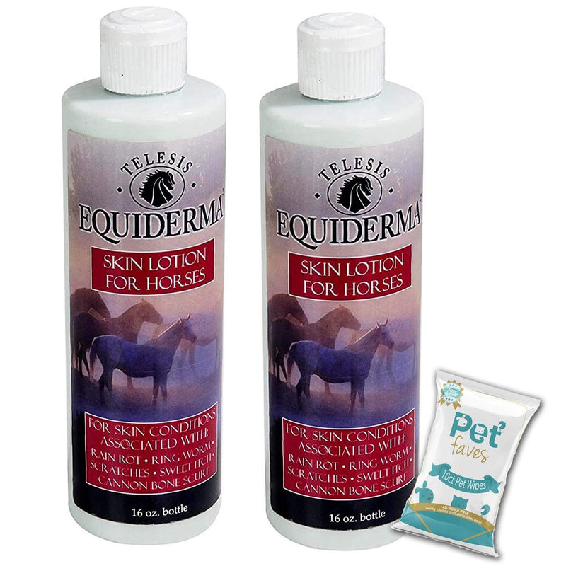 (2 Pack) Equiderma Horse Skin Lotion for Rain Rot, Ringworm, Cannon Bone Scurf with 10ct Pet Faves Pet Wipes - PawsPlanet Australia