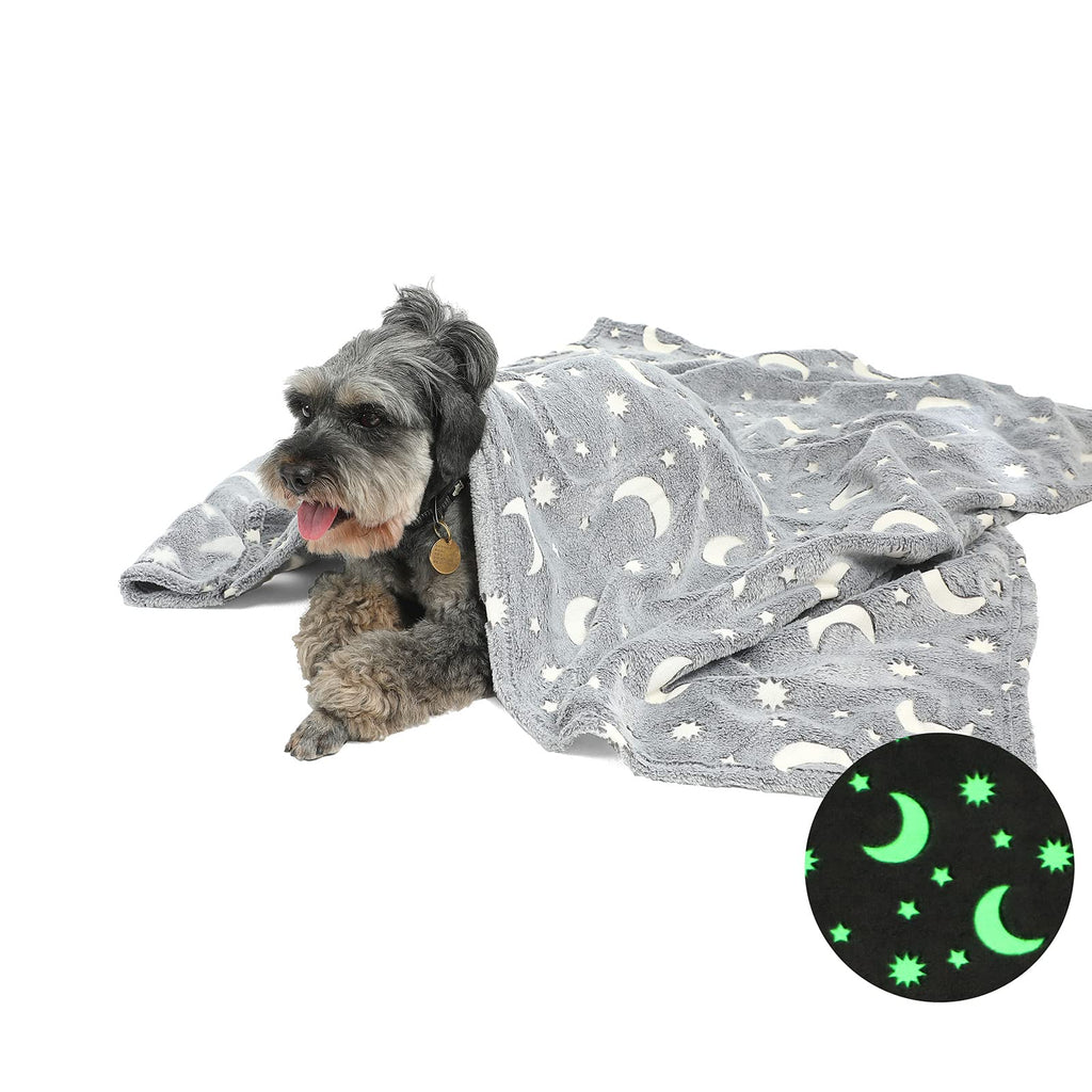 Star Moon Dog Throw Blanket Glow in The Dark, Pet Throw Blankets Luminous, Soft Fleece Plush Glow Throw Blankets for Large Medium Dogs Puppy Cats, (22Wx30L, Grey) 22Wx30L - PawsPlanet Australia