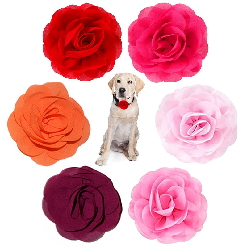 PET SHOW Pack of 6pcs Dog Collar Bows and Flowers Attachment for Girls Puppies Cats Female Small Medium Dogs Collars Chiffon Embellishment Decor for Wedding Birthday Parties Grooming Accessories 6cm(2.36inch) - PawsPlanet Australia