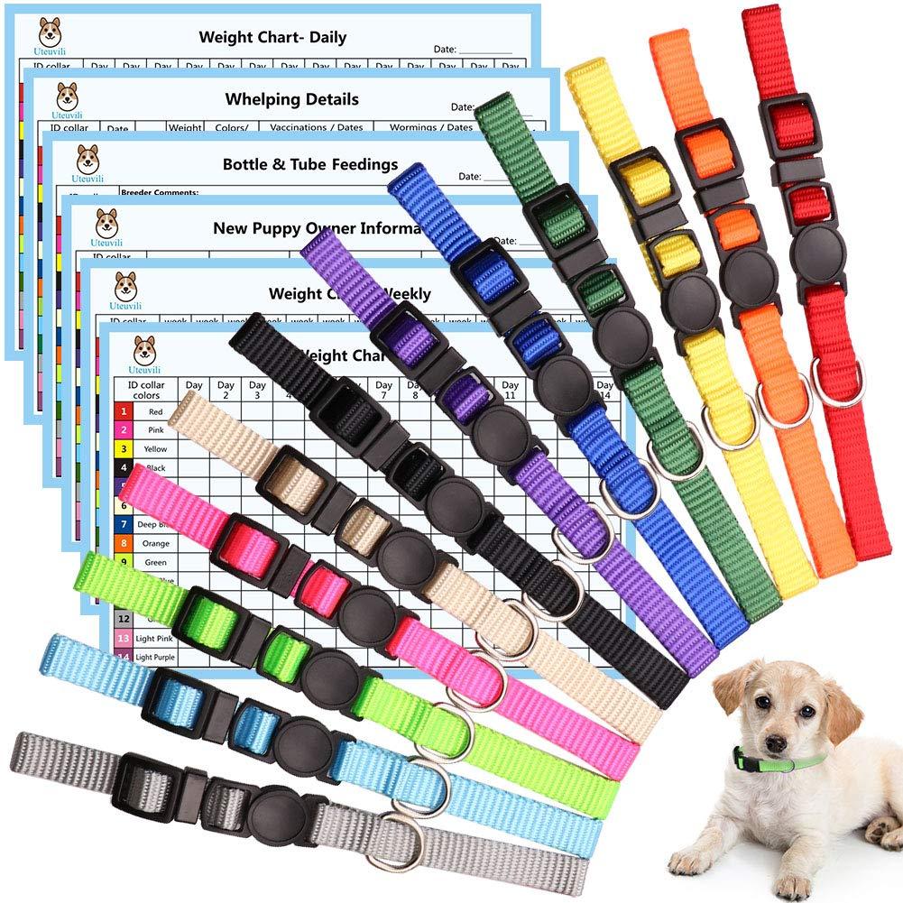 12 PCS Puppy Collars for Litter Puppy ID Collars Whelping Puppy Collars Safety Buckle Soft Nylon Breakaway Collars with 6 Record Keeping Charts(S) S 12 Colors - PawsPlanet Australia