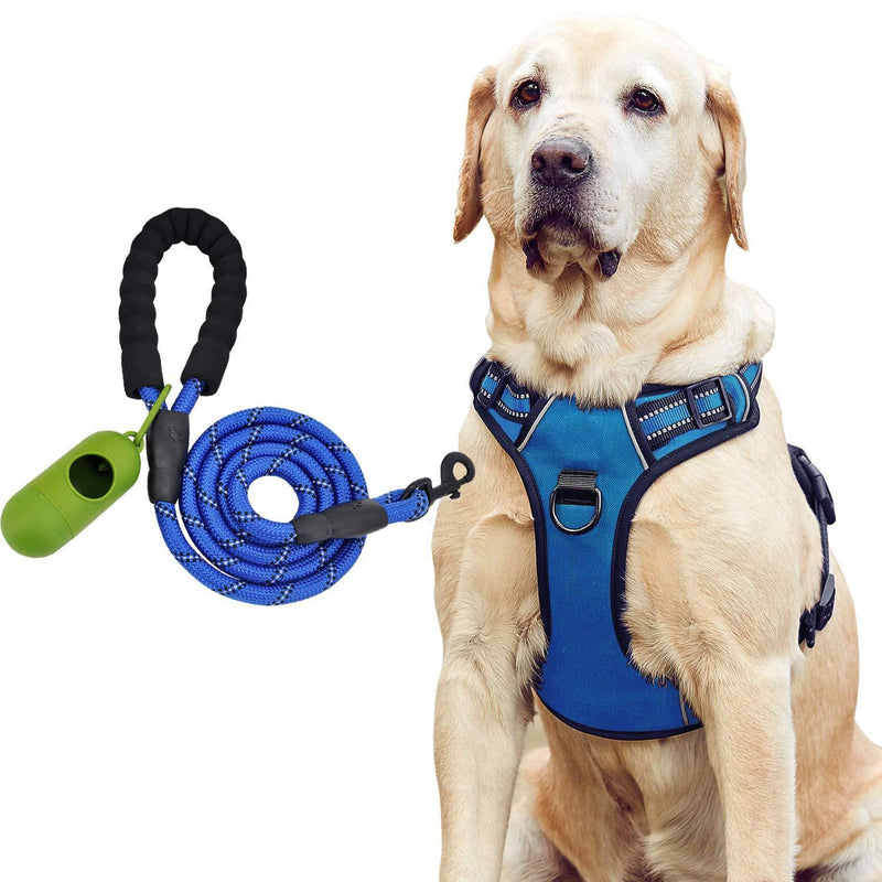 Dog Harness with Dog Leash,No-Pull Dog Harness Safe Reflective Vest Harness Comfortable and Adjustable Oxford Vest with Easy Control Handle for Medium Large Dogs Outdoor Training Walking (Black, S) Black - PawsPlanet Australia