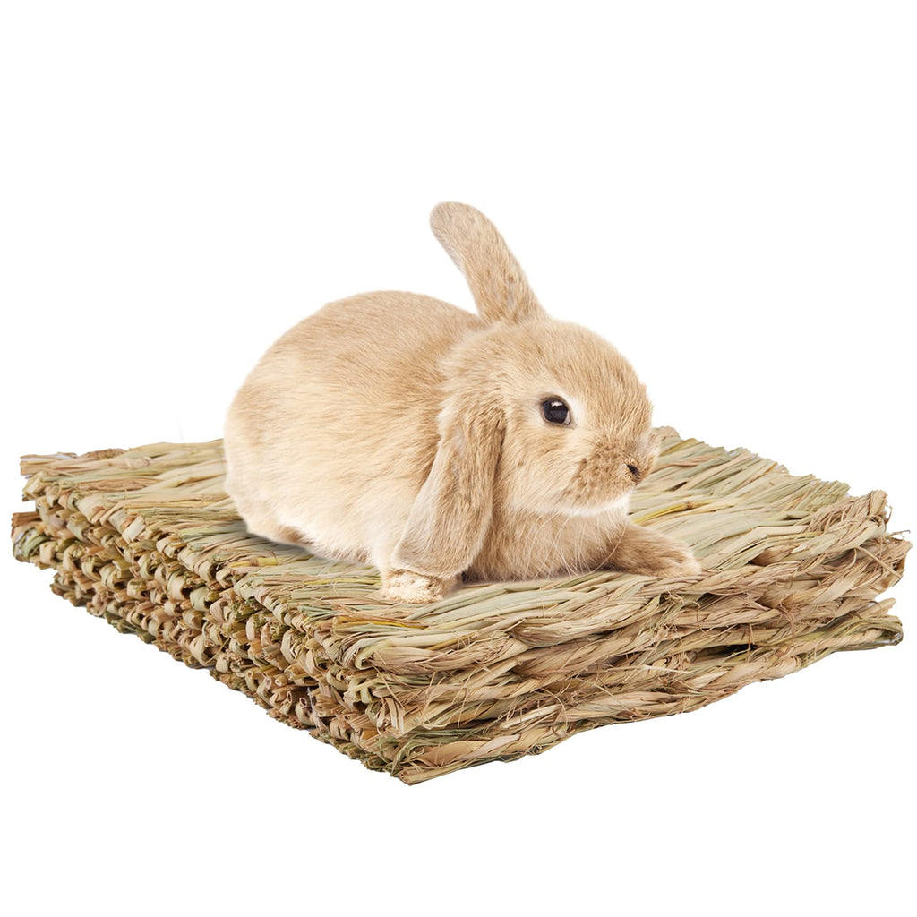 4Pack Grass Mat for Rabbits Bunny Straw Woven Bed Bedding Nest Chew Toy for Guinea Pigs Hamsters Rats Birds and Other Small Animals 11.8 × 9 inches - PawsPlanet Australia