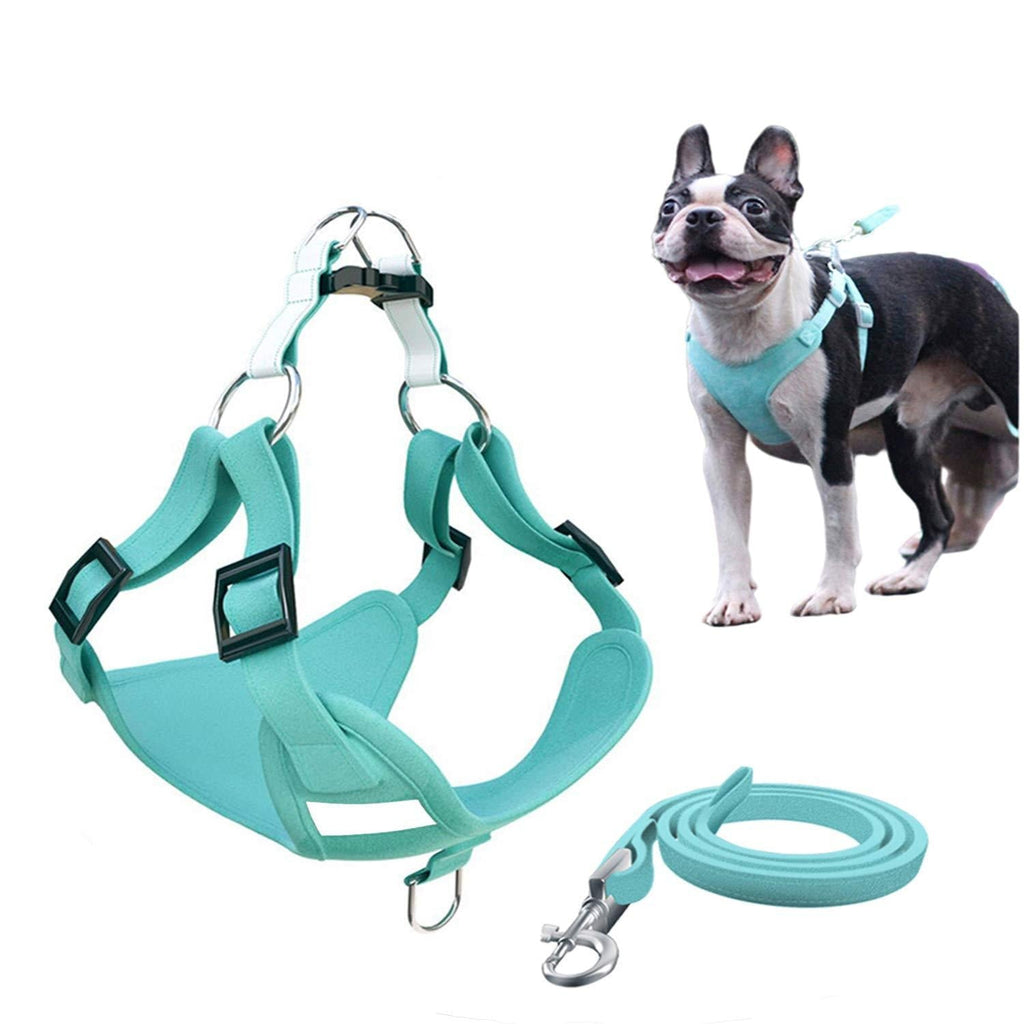 Step-in Air Dog Harness Reflective Dog Vest Harness with Leash Breathable and Adjustable Soft Padded Dog Vest with Easy Control Handle for Small to Large Dogs （Lake Blue S） Lake Blue - PawsPlanet Australia
