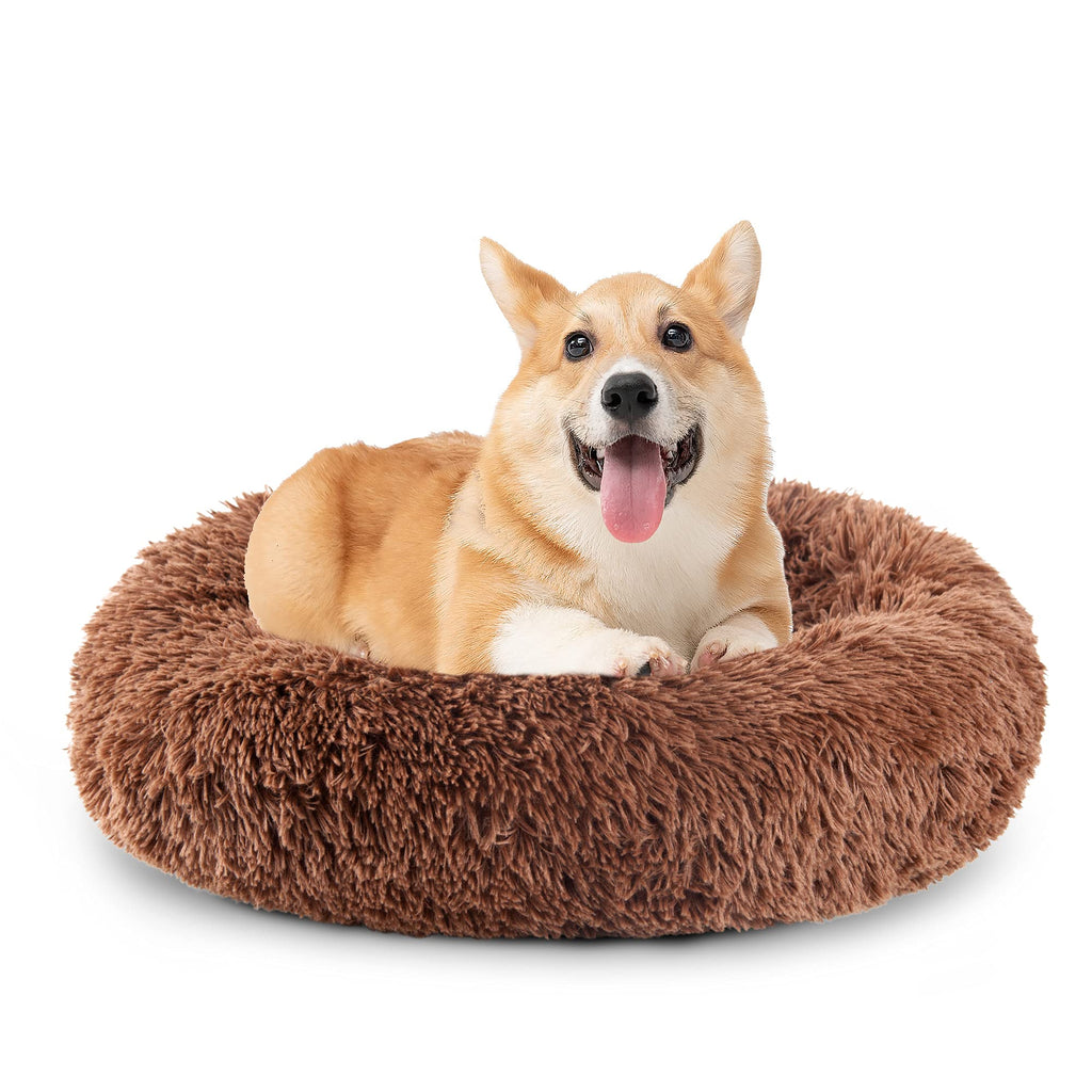 HN HAIINAA 20" Dog Bed Memory Foam,Puppy Beds for Small Dogs Washable,Dog Beds for Small Medium Dogs & Cats / Most Durable Dog Couch Bed Cover 20" Brown - PawsPlanet Australia